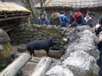 DSCN6990.JPG