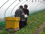 DSCN7097.JPG